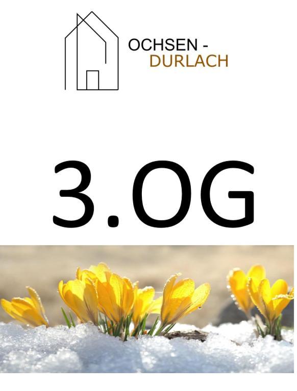 Ochsen-Durlach Karlsruhe Værelse billede